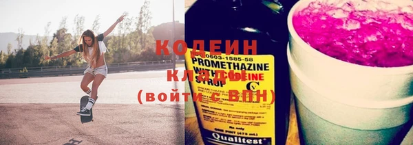 амф Верхний Тагил