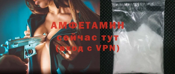 амф Верхний Тагил