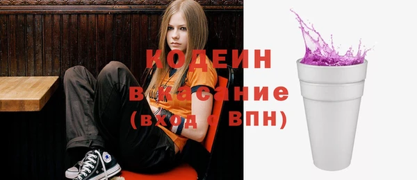 амф Верхний Тагил