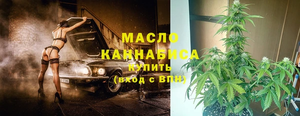амф Верхний Тагил