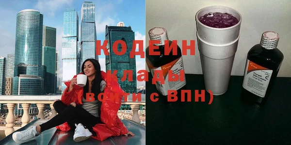 амф Верхний Тагил