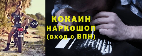амф Верхний Тагил