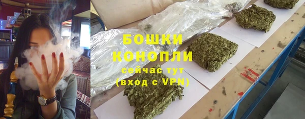 амф Верхний Тагил